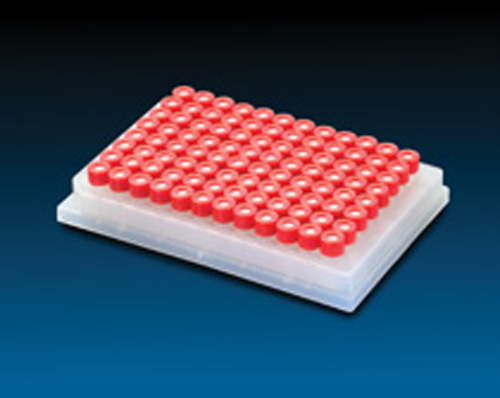 MT Plate